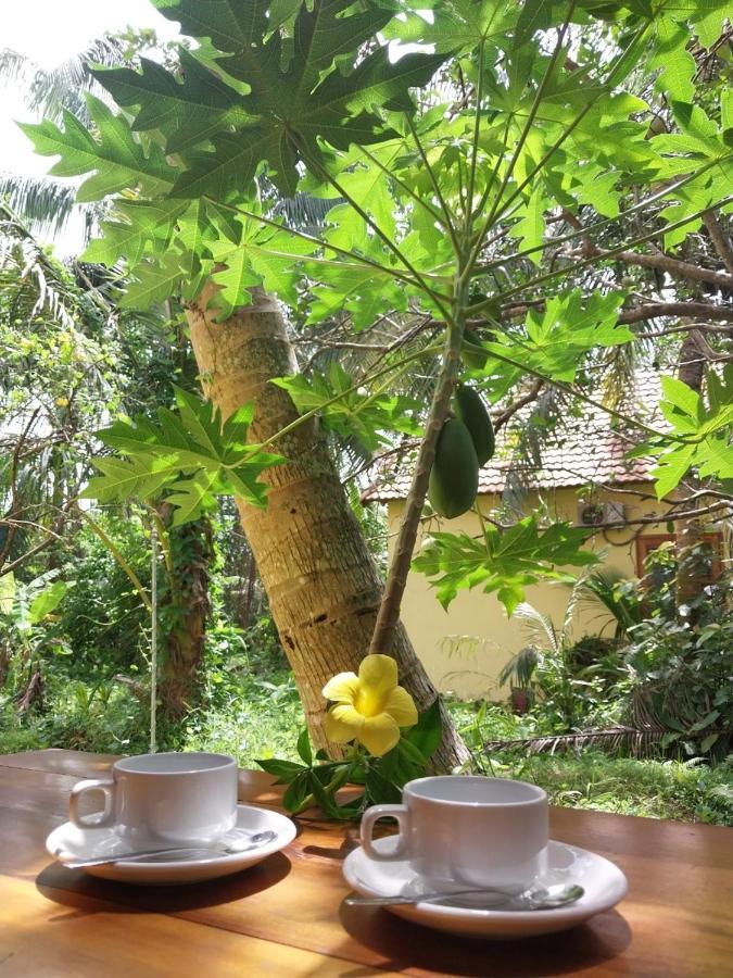 Apartamento Phu Quoc Pomelo Garden Exterior foto